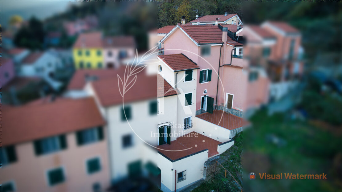 Immagine video