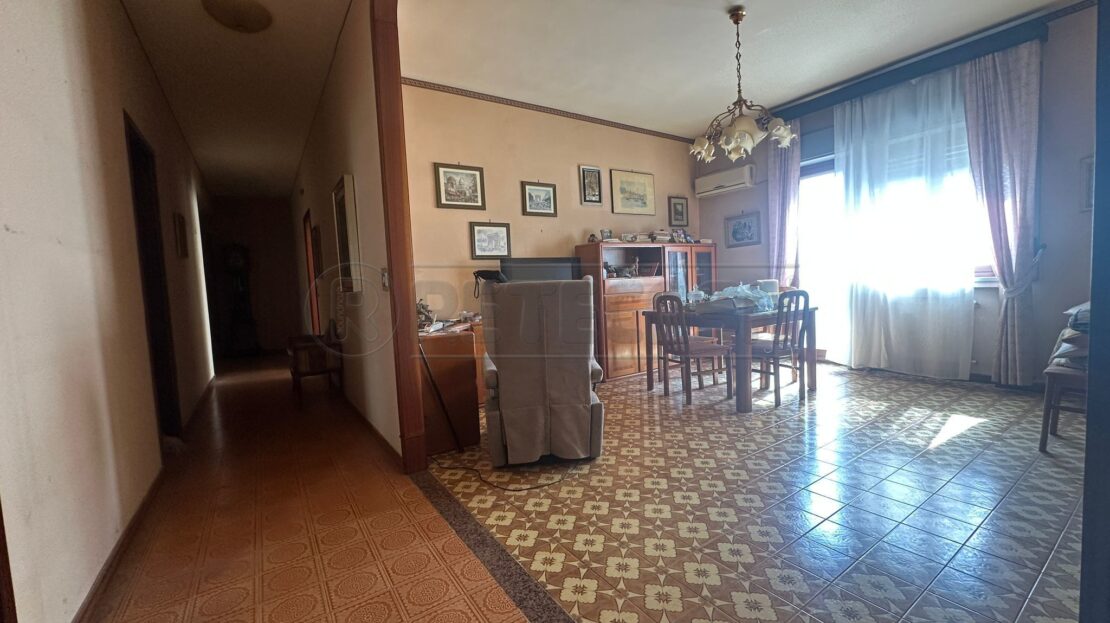 Immagine video