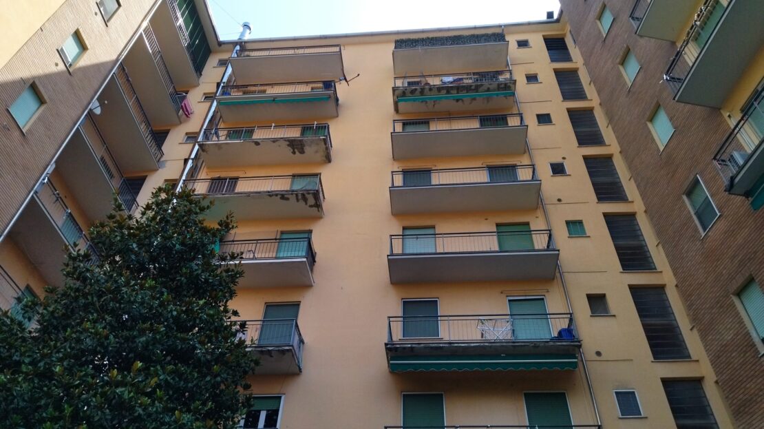 Immagine video