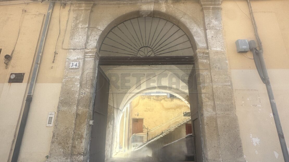 Immagine video