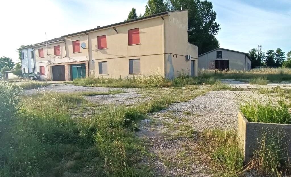 Immagine video