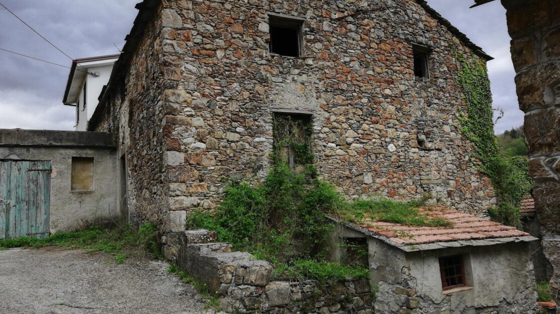 Immagine video