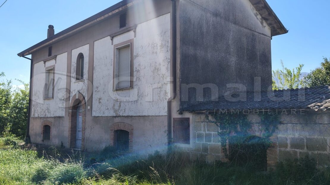 Immagine video