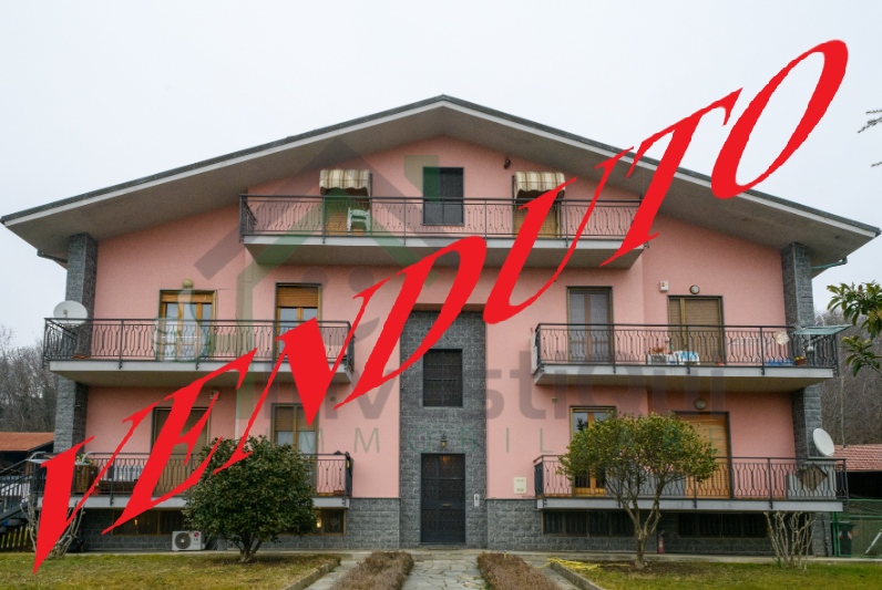 Immagine video