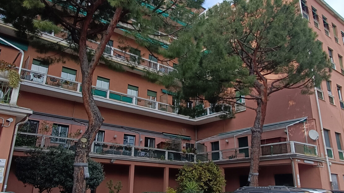 Immagine video