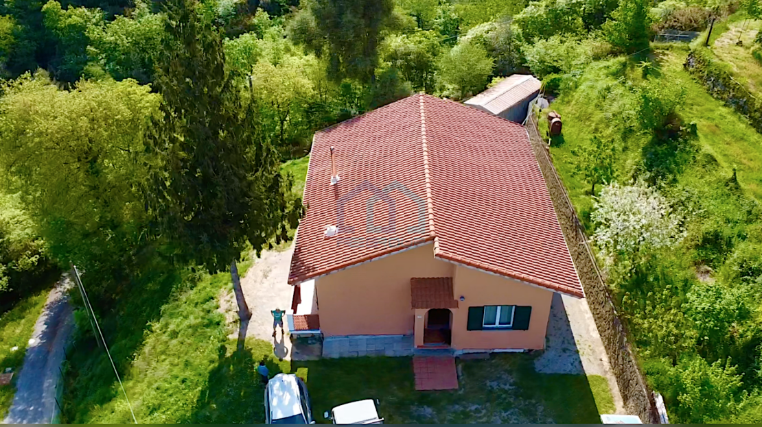 Immagine video