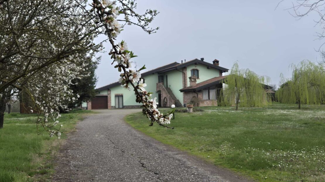 Immagine video