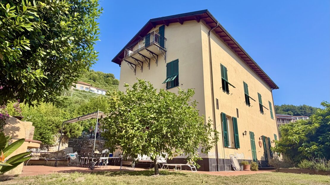 Immagine video