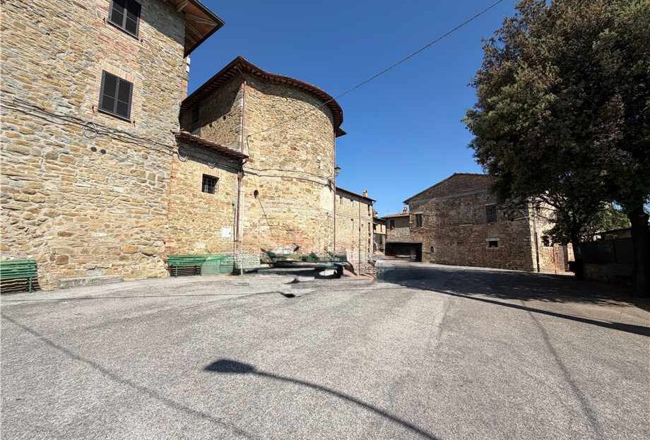 Immagine video