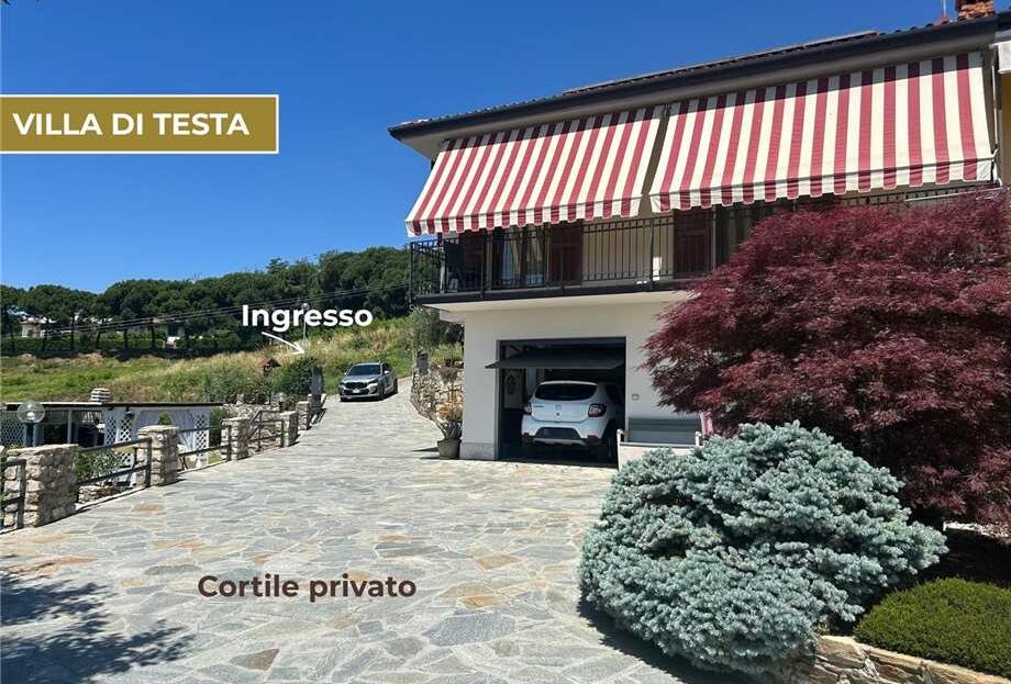 Immagine video