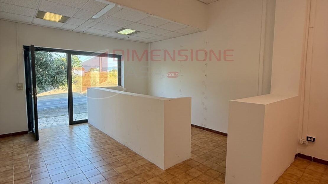 Immagine video