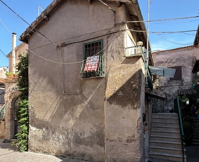 Immagine video