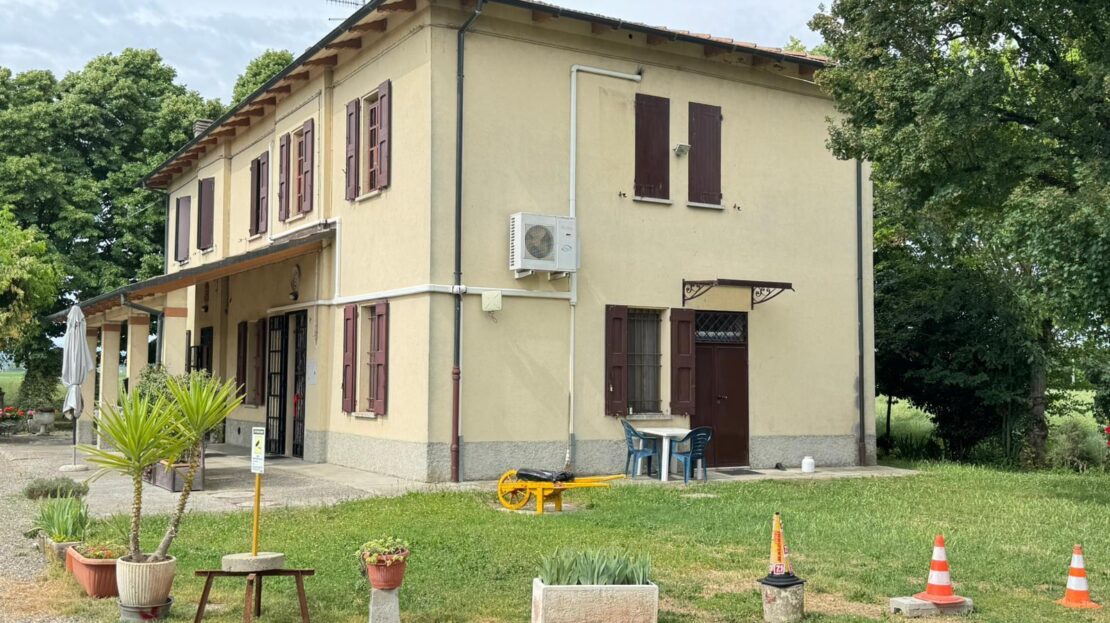 Immagine video