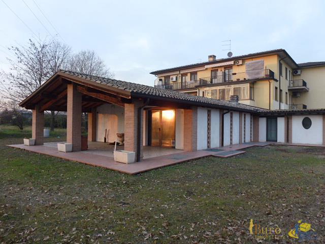 Immagine video
