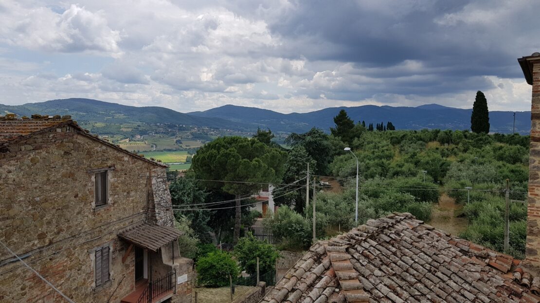 Immagine video