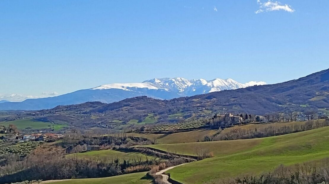 Immagine video