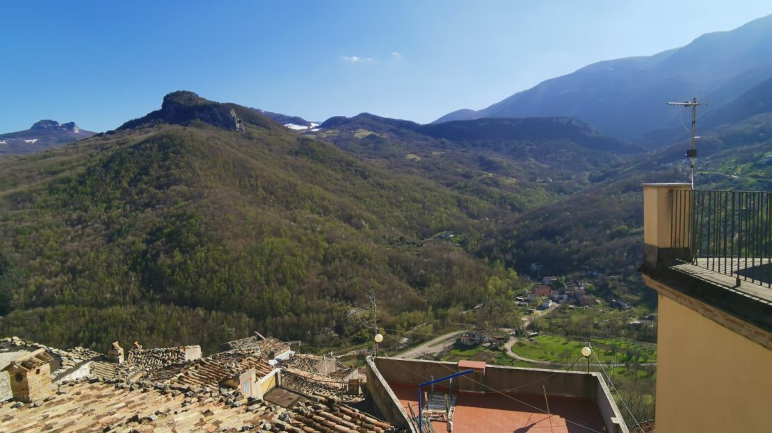 Immagine video