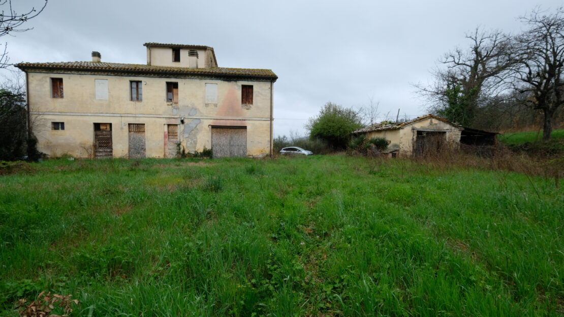Immagine video