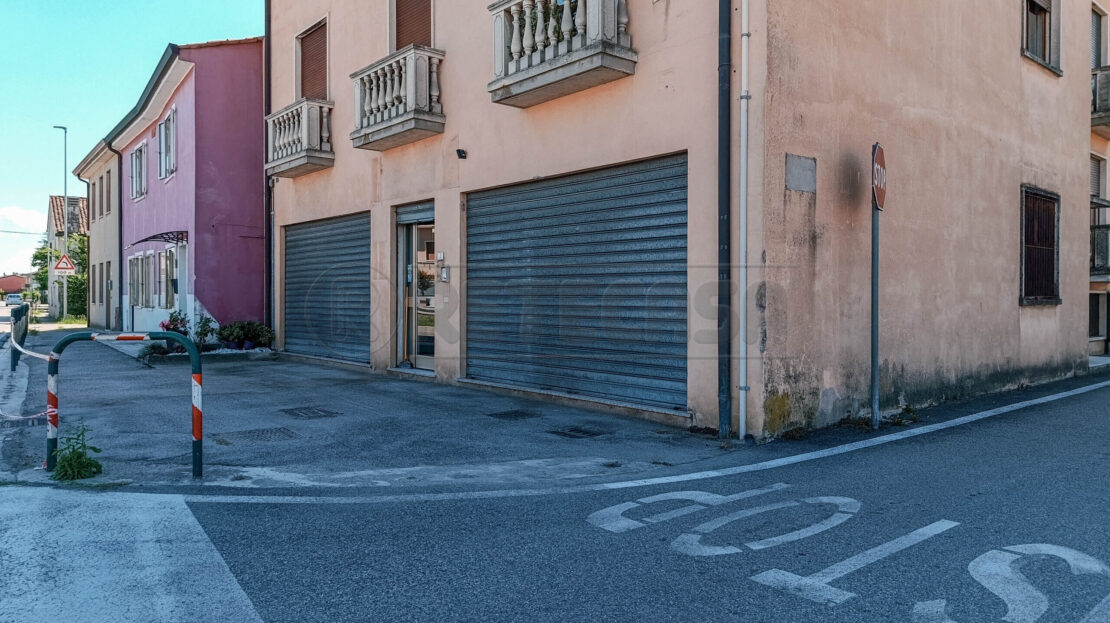 Immagine video