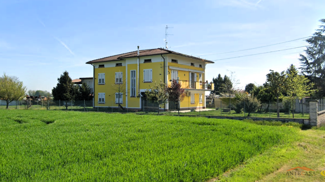 Immagine video