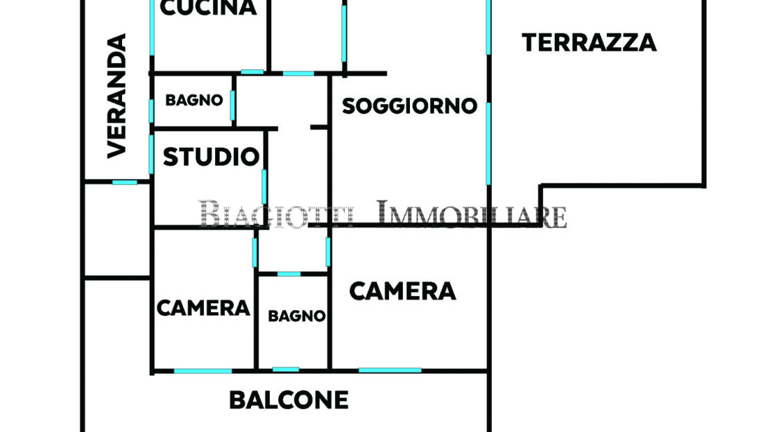 Immagine video