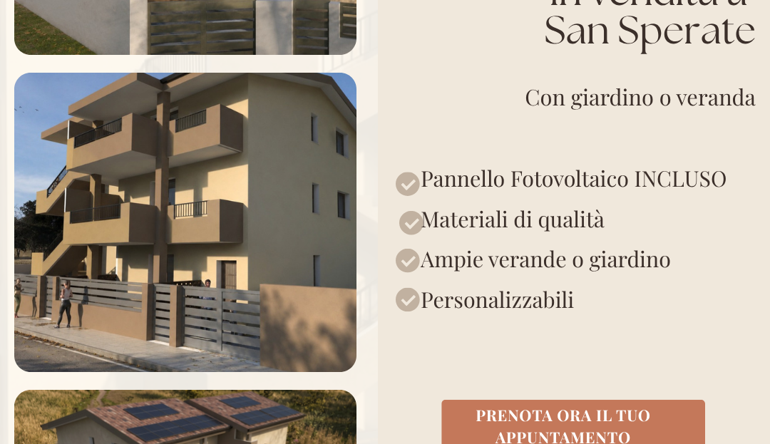 Immagine video