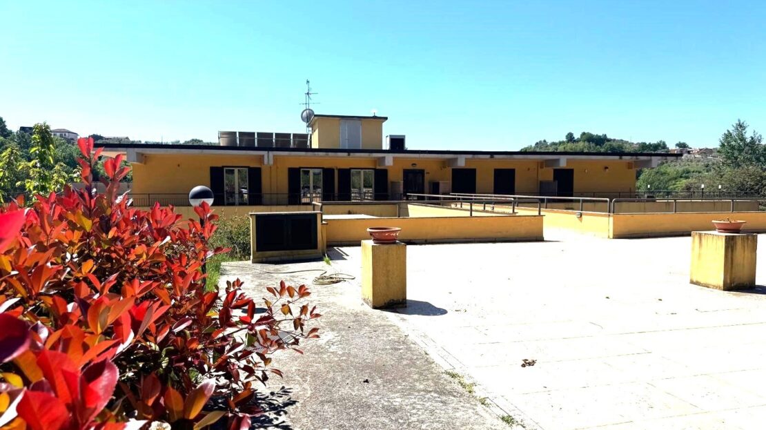 Immagine video