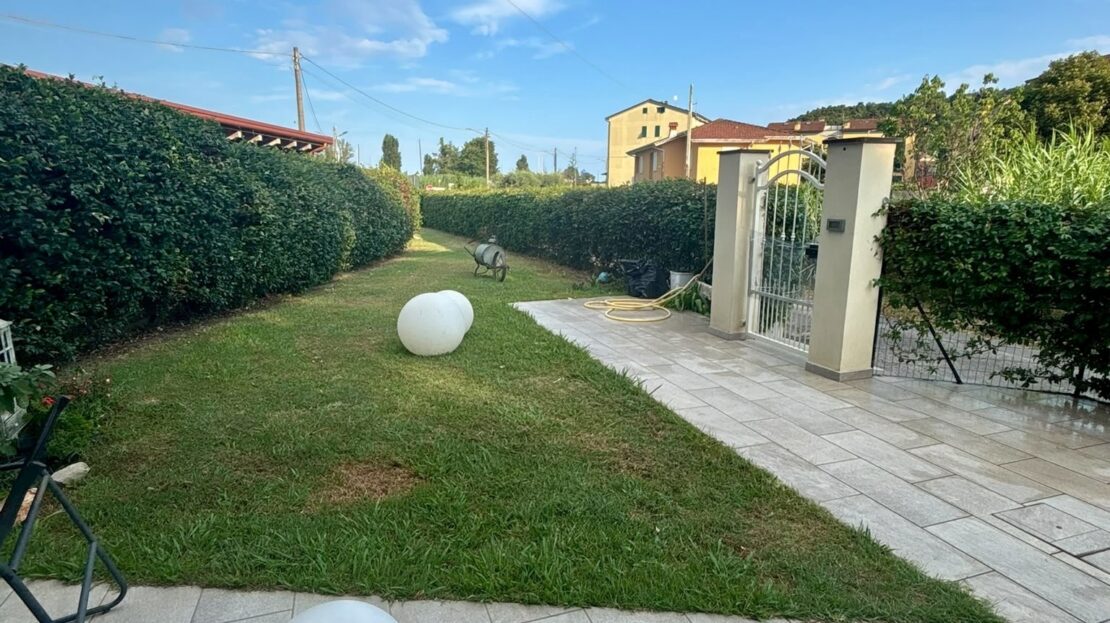 Immagine video