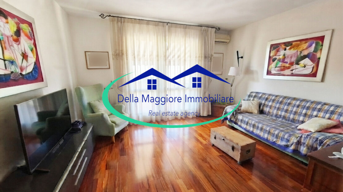 Immagine video