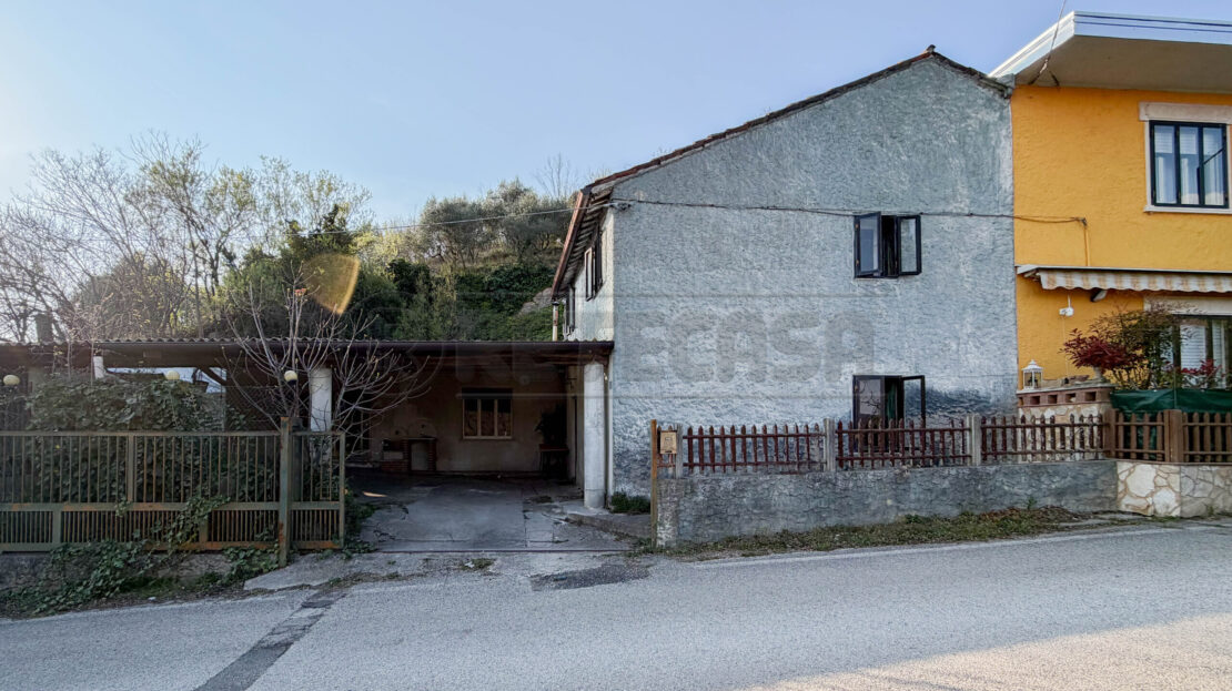 Immagine video