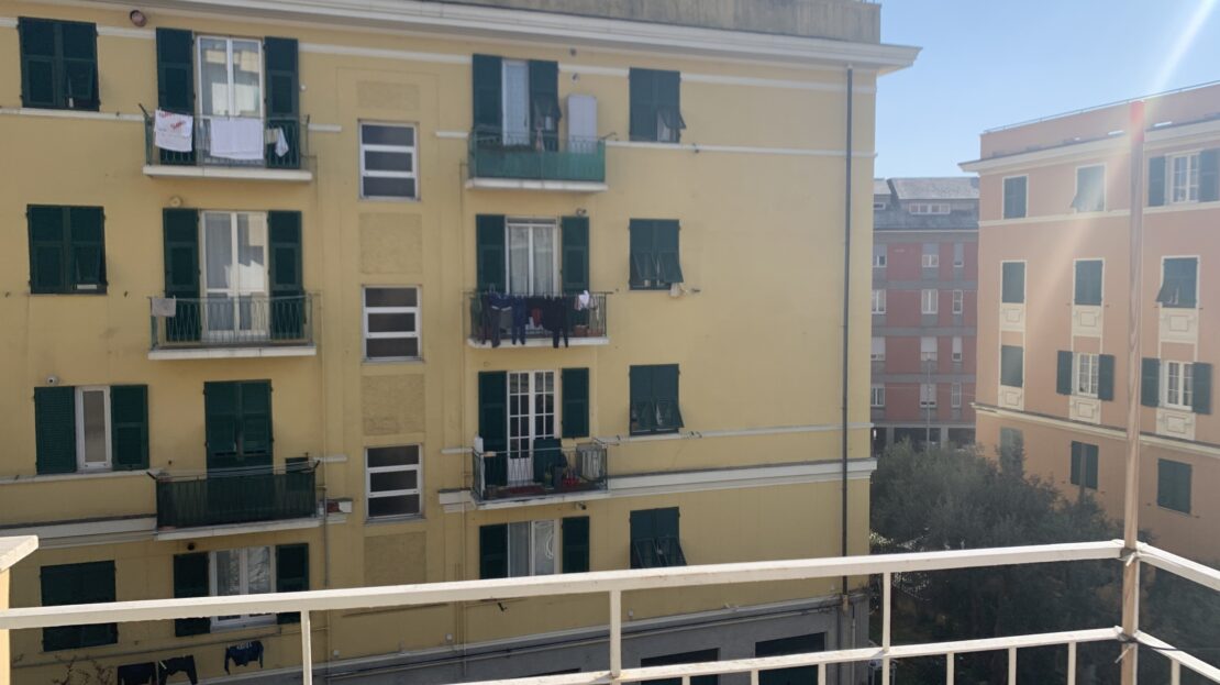 Immagine video