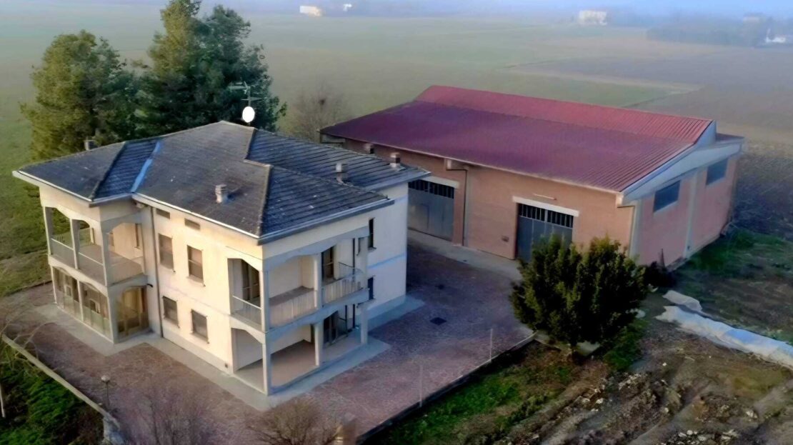 Immagine video