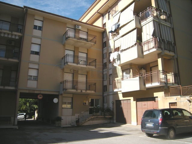 Immagine video