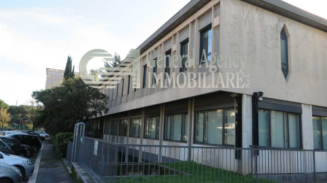 Immagine video