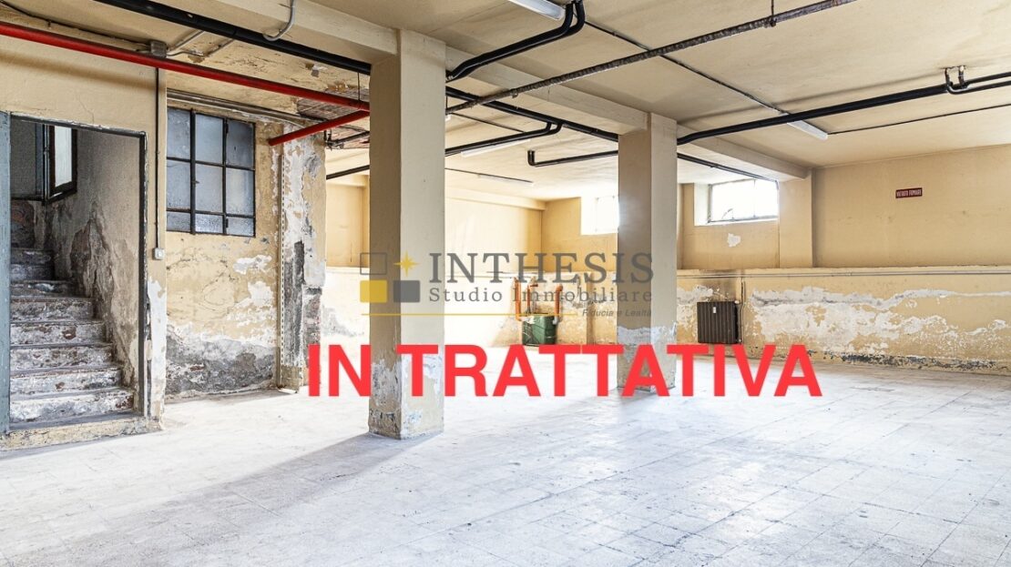 Immagine video