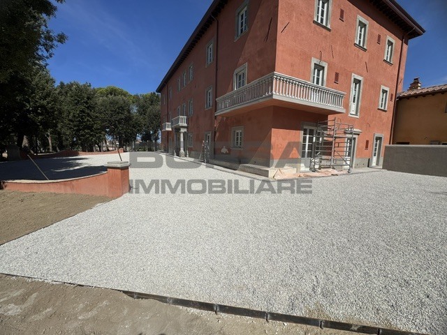 Immagine video