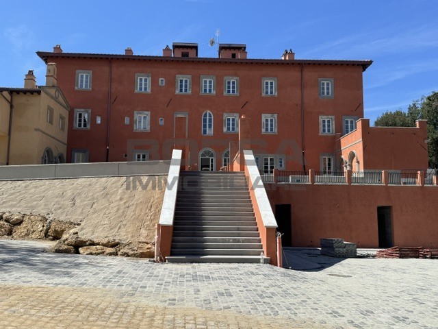 Immagine video