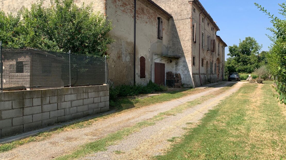 Immagine video