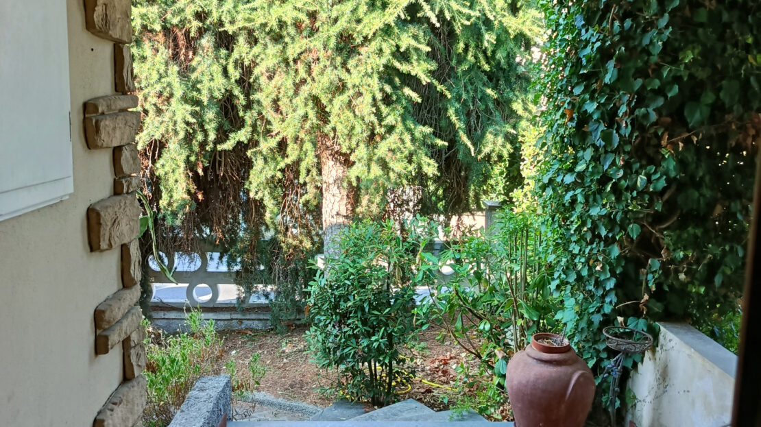 Immagine video