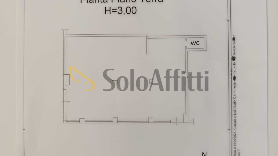 Immagine video