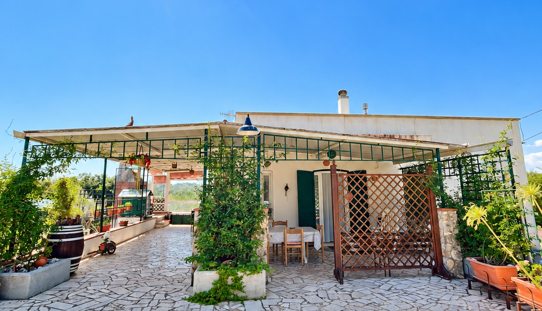 Immagine video