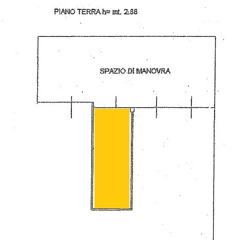 Immagine video