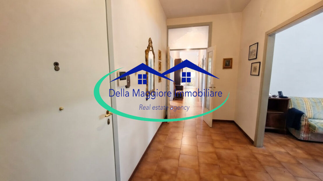 Immagine video