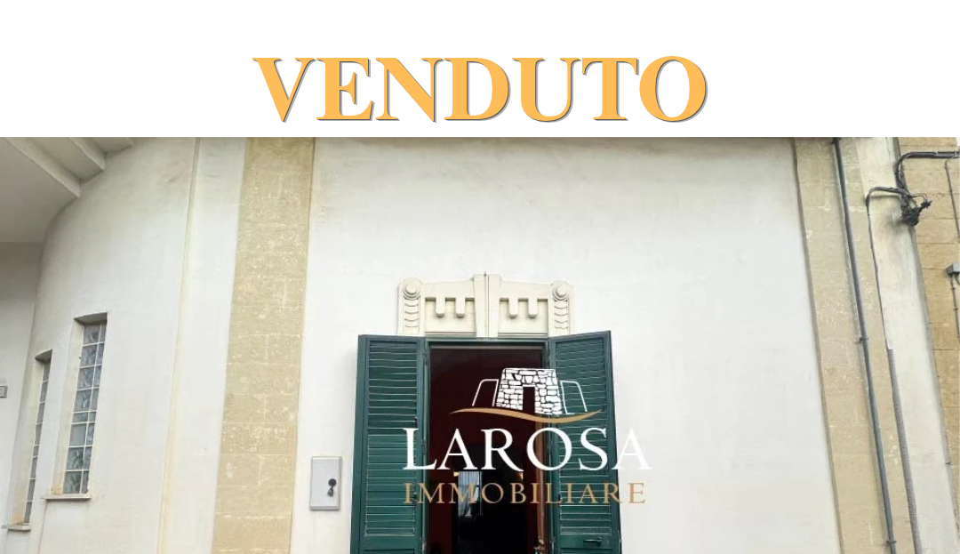 Immagine video