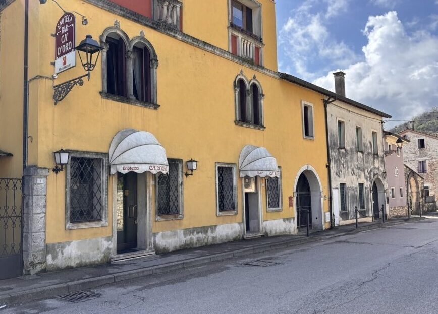 Immagine video