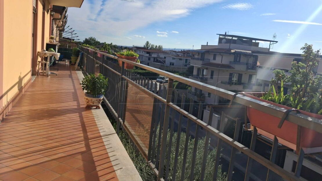 Immagine video