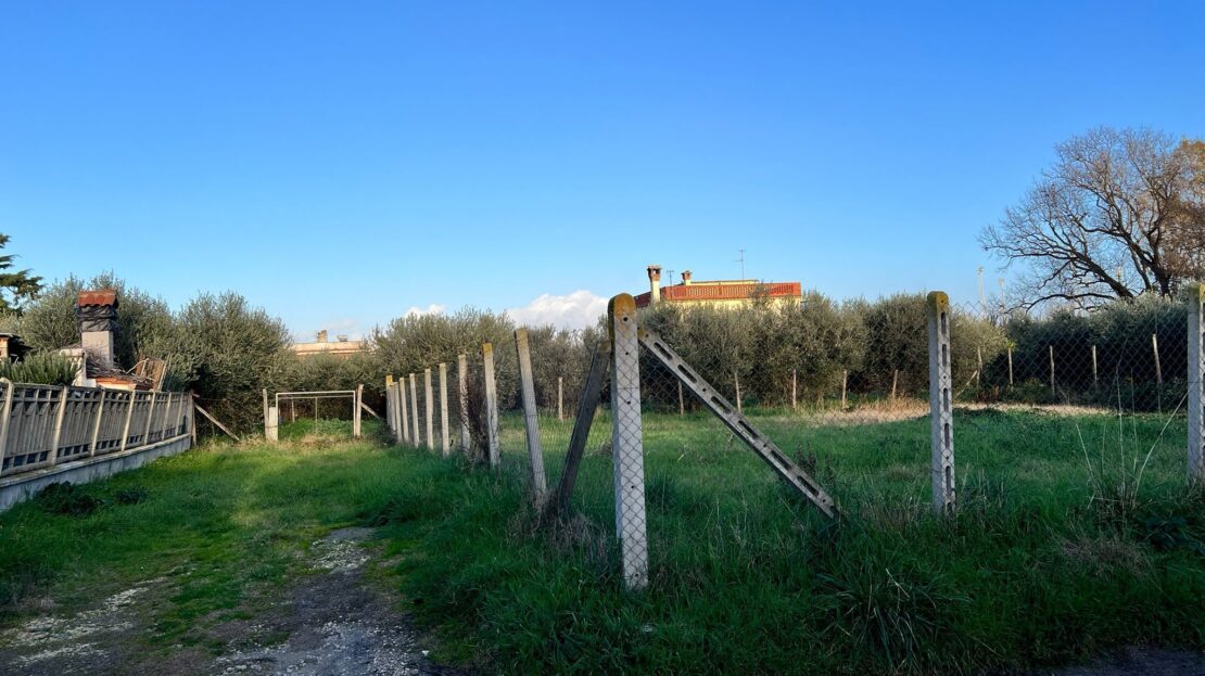 Immagine video