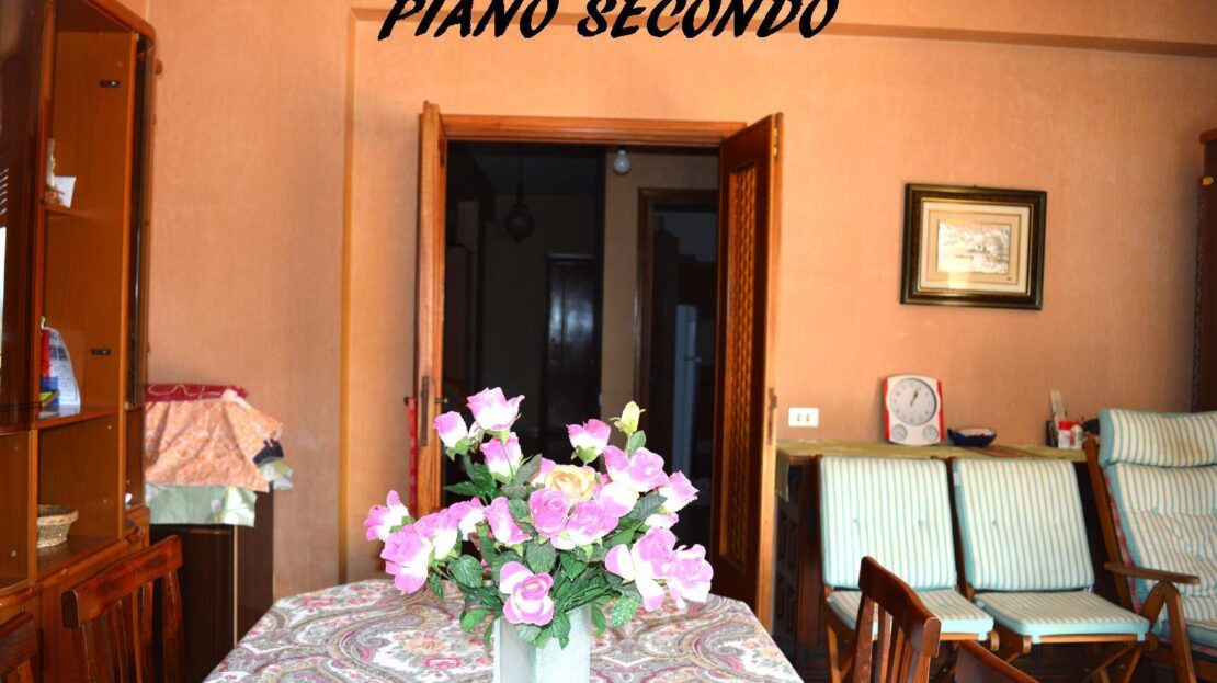 Immagine video