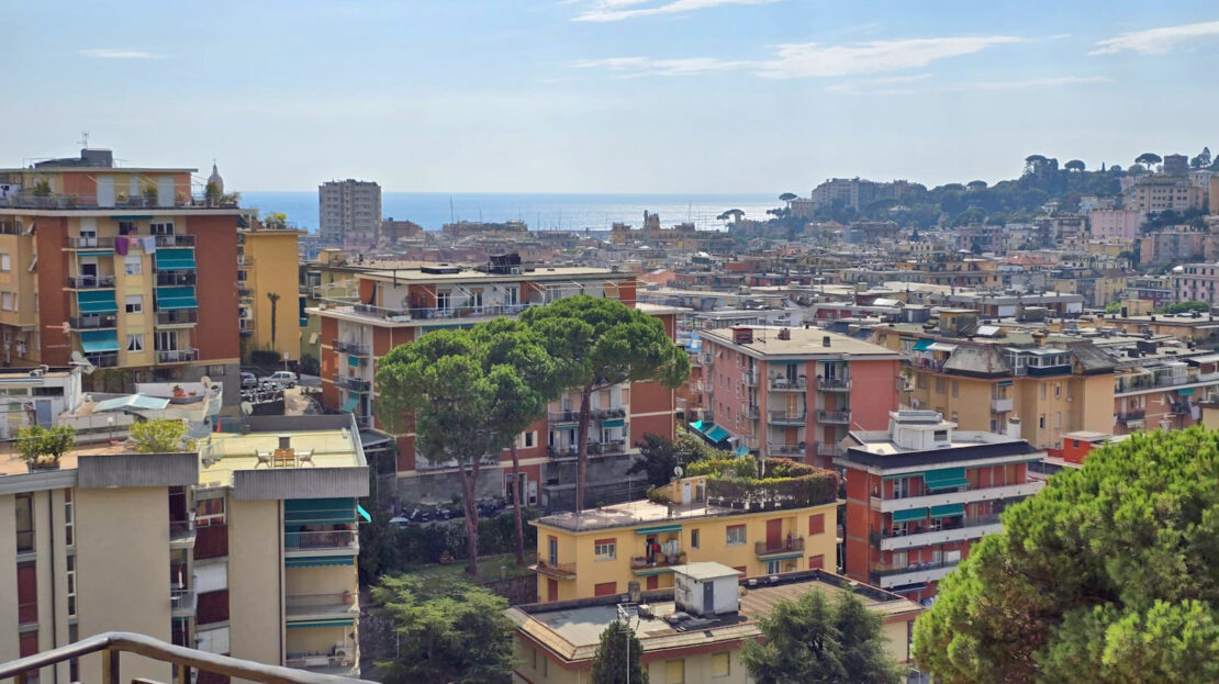 Immagine video