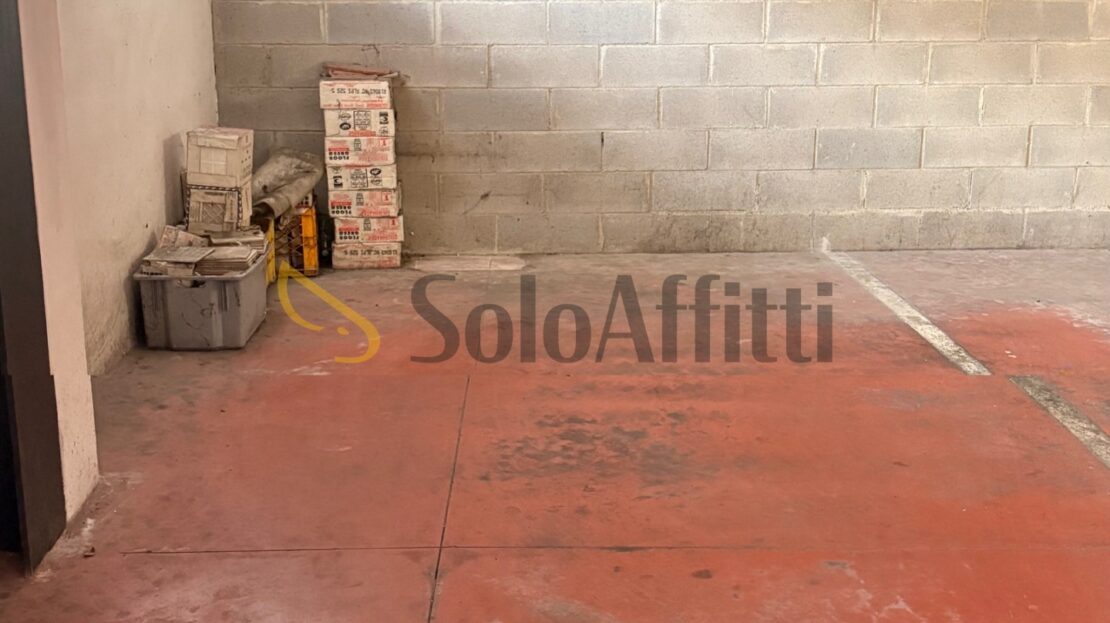Immagine video